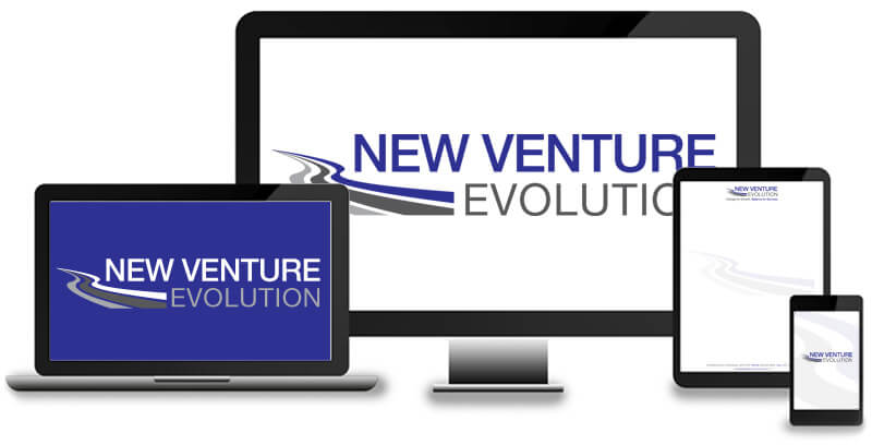 industry-professional-services-new-venture-evolution